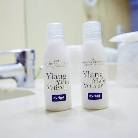 Hotel Kyriad Mulhouse Est -