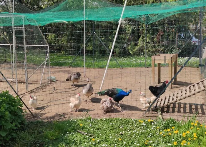 Kyriad Mulhouse Est - 3*